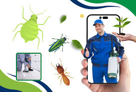 Insect Exterminators: Professional Pest Control Services for Your Home and Business